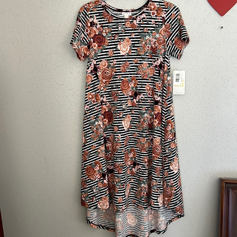 Lularoe carly Disney dress